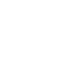 ECSS_Logo_White_Transparent